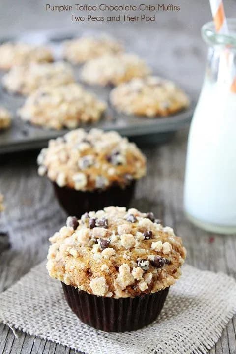 Pumpkin Toffee Chocolate Chip Muffins