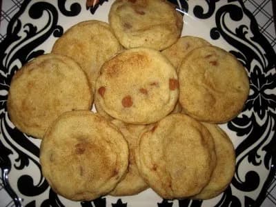 Cinnadoodles