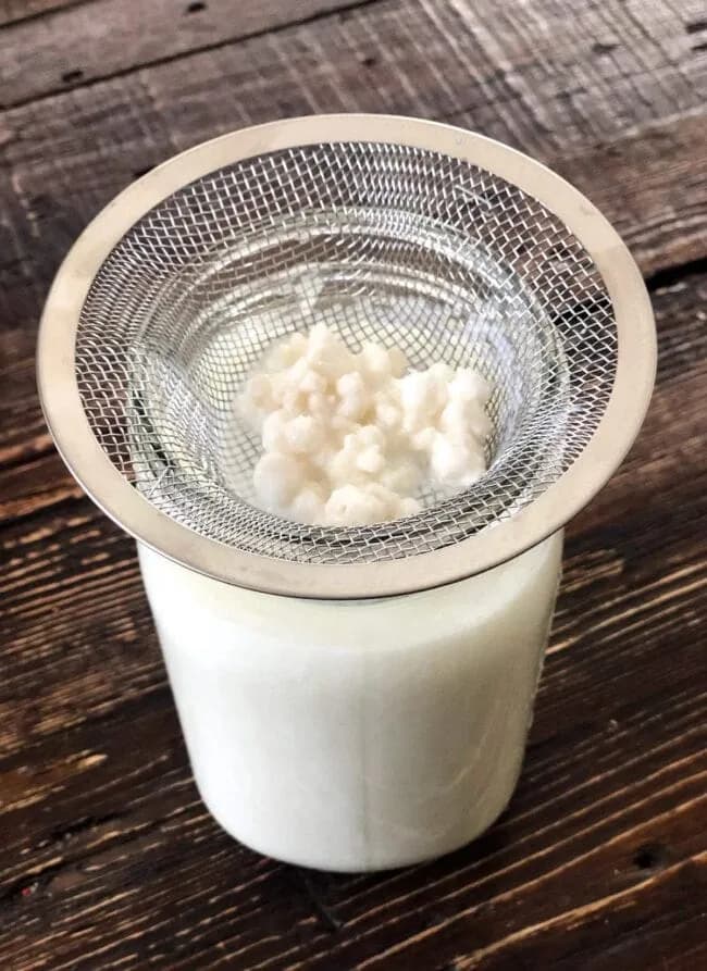 Milk Kefir