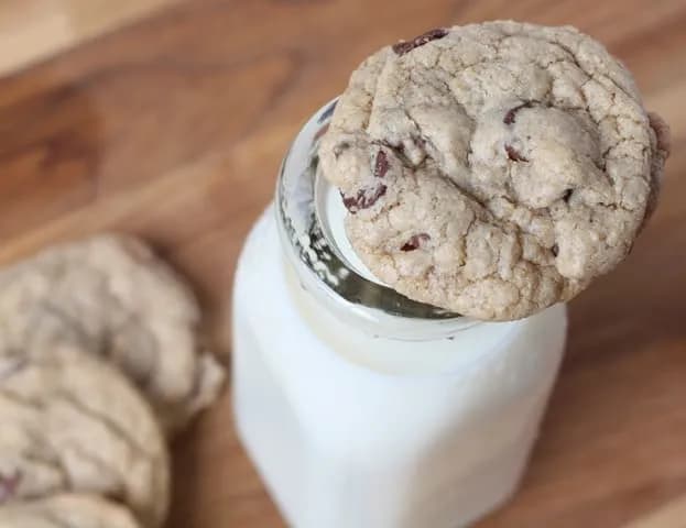 100% Whole Wheat Chocolate Chip Cookies