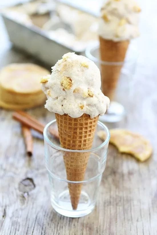 No Churn Cinnamon Snickerdoodle Ice Cream